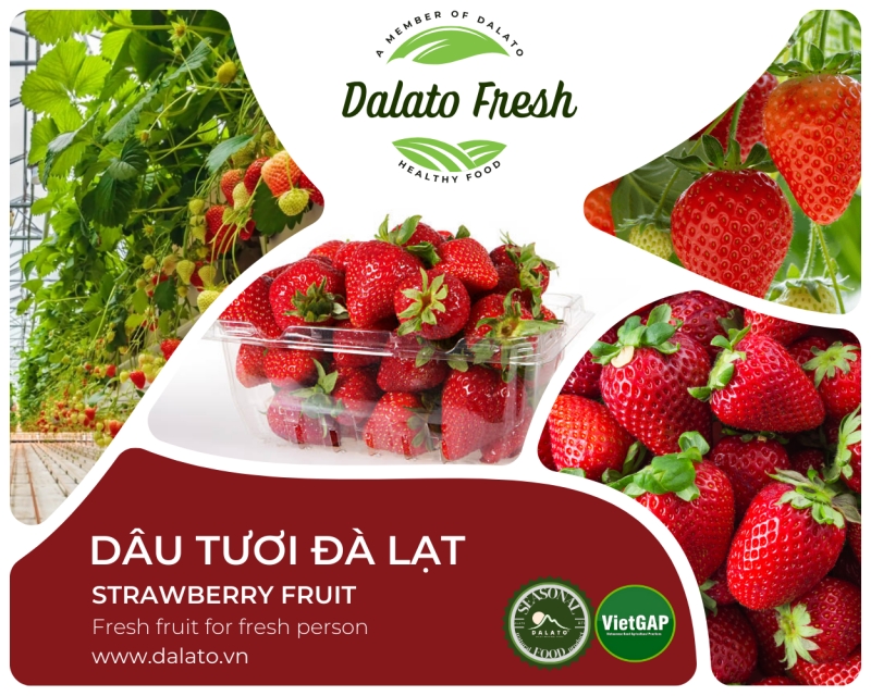 dau da lat  strawberry